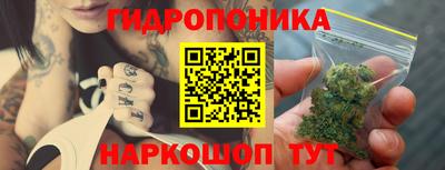 ПСИЛОЦИБИНОВЫЕ ГРИБЫ Аргун
